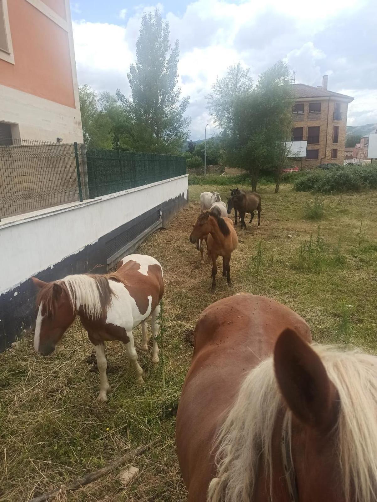 Alojamiento Fiordos Leoneses Bonar Bagian luar foto